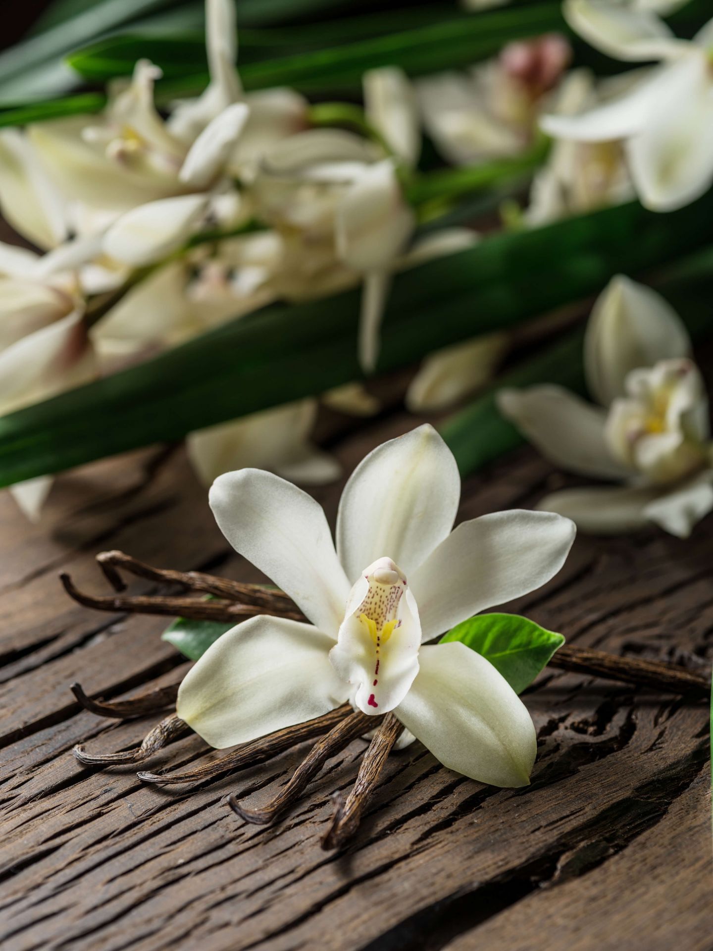 Bloem en vanille stokjes