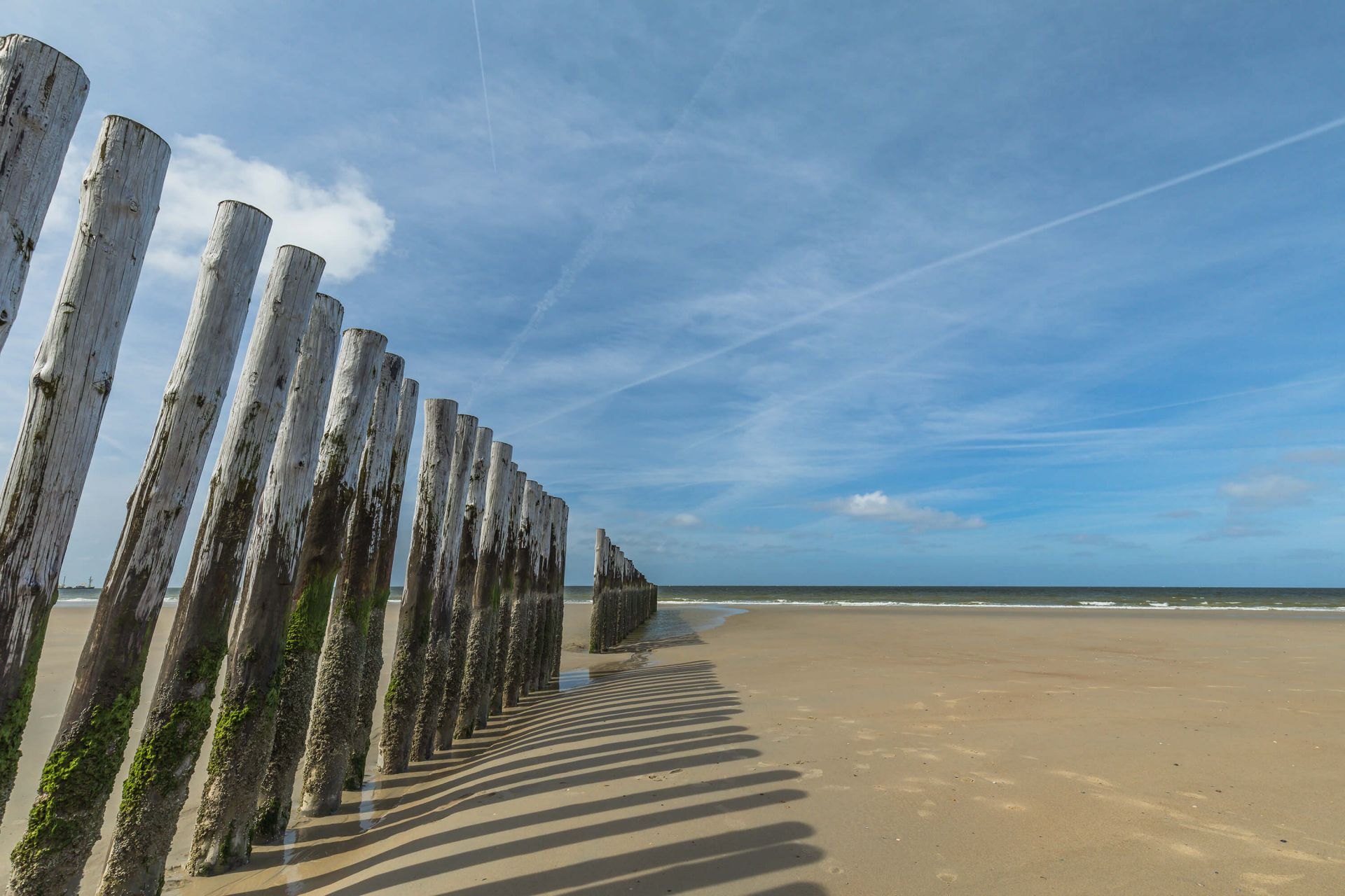 Paalhoofden in de Noordzee main product photo