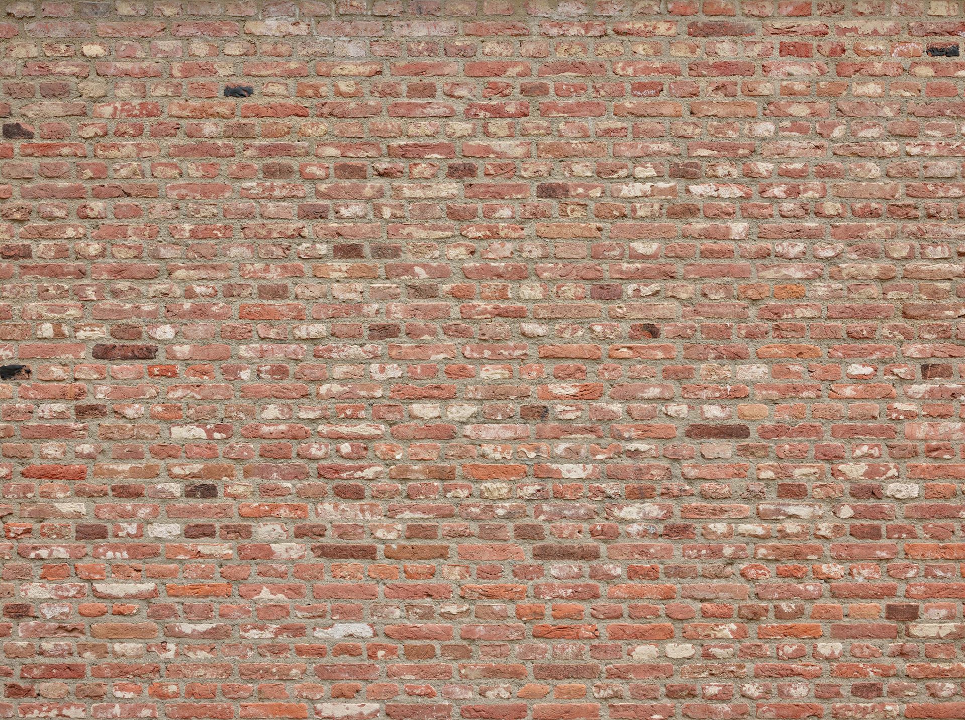 Muur met verschillende kleuren bakstenen