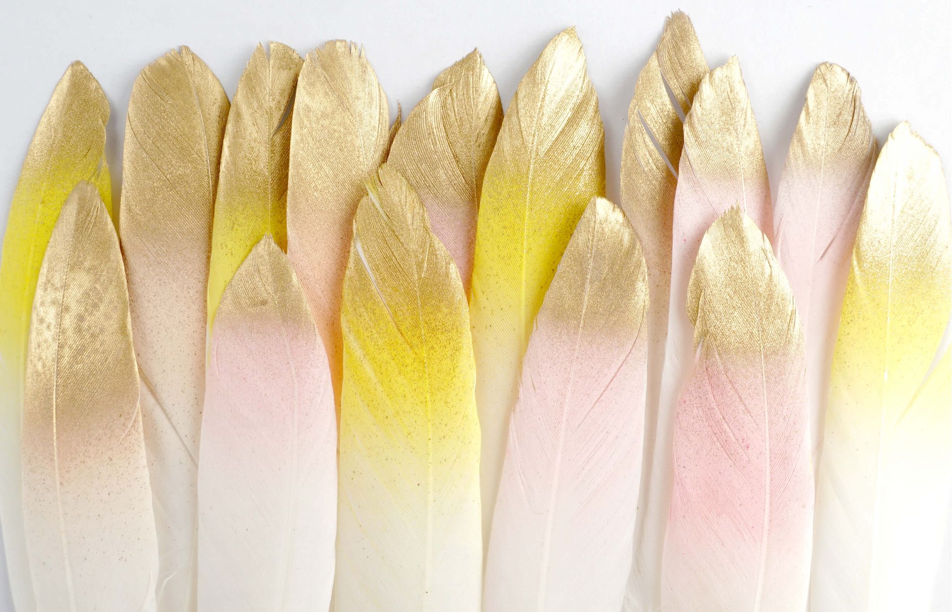 Gouden veren main product photo