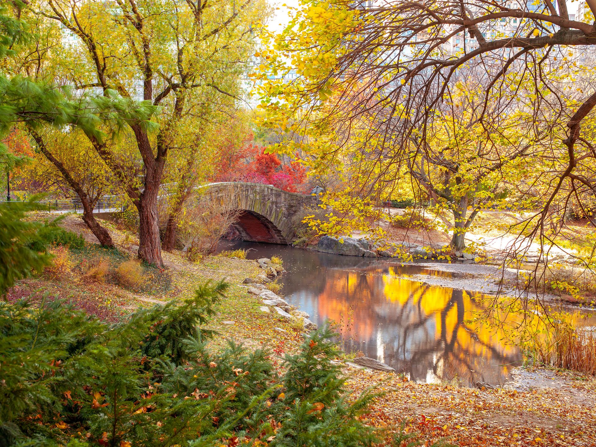 Kleurrijk park