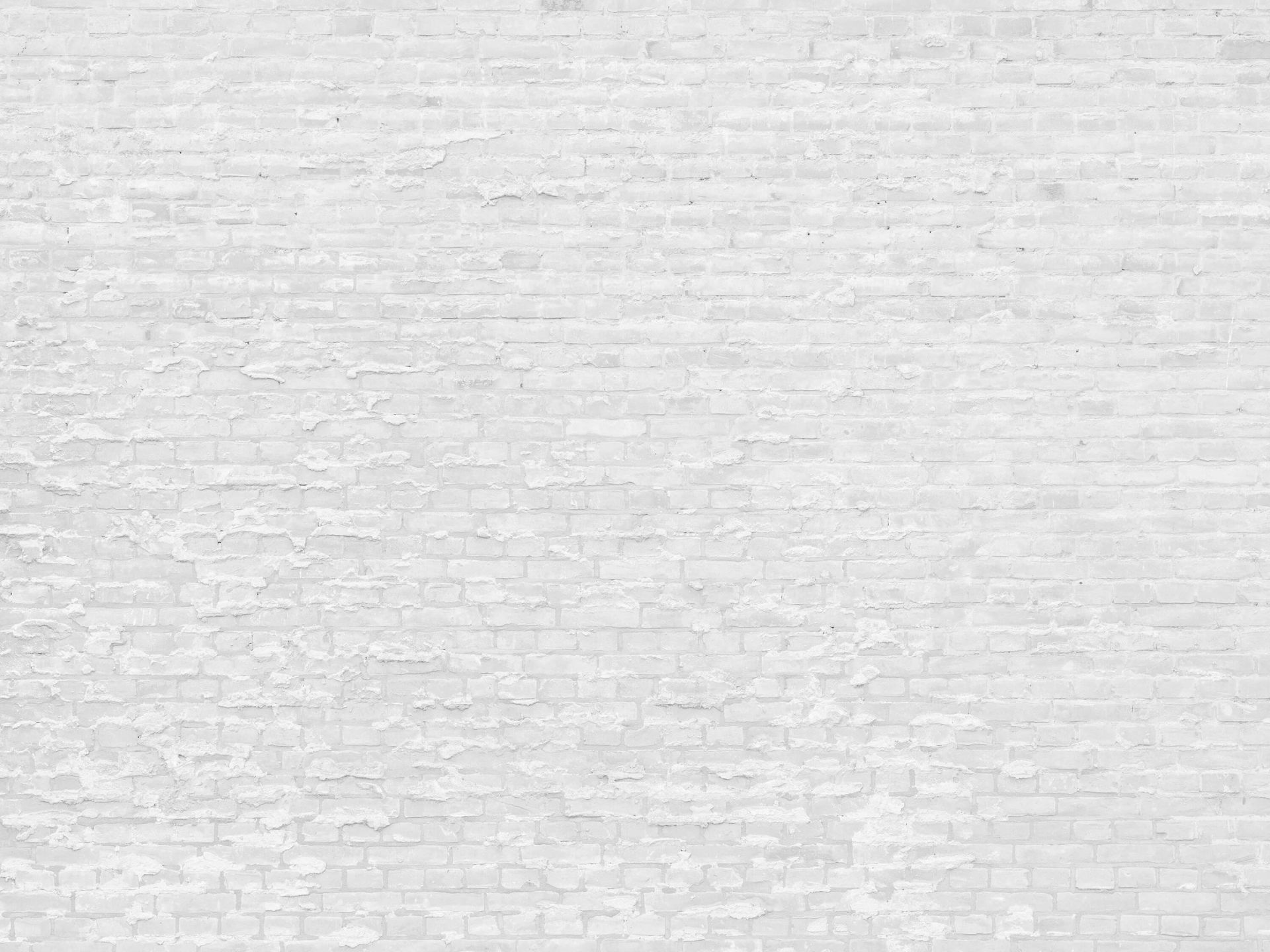 Witte stenen met cement