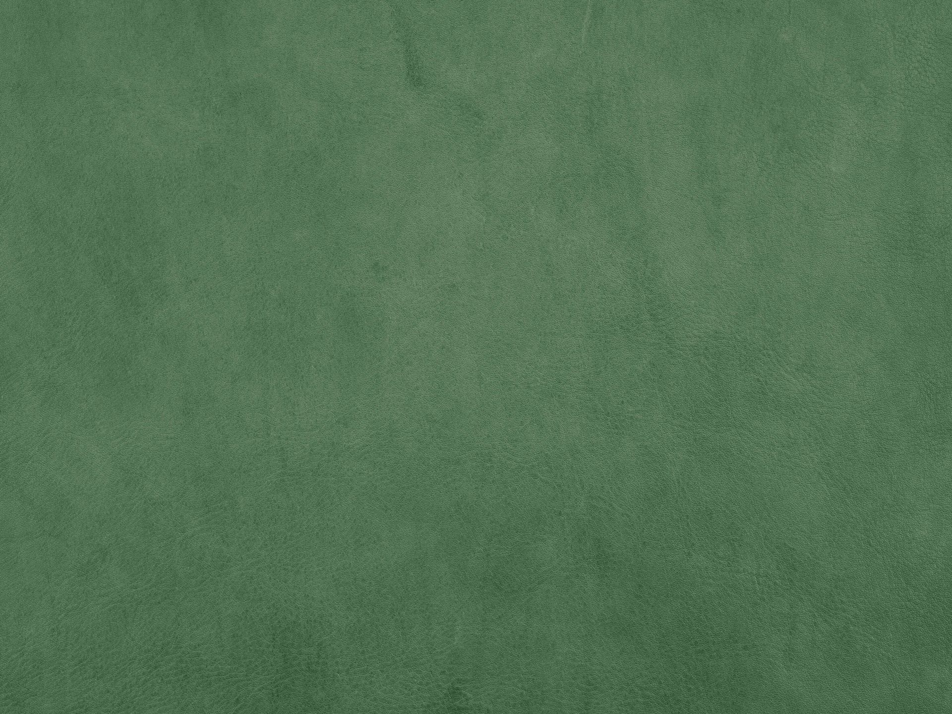 Groen leder