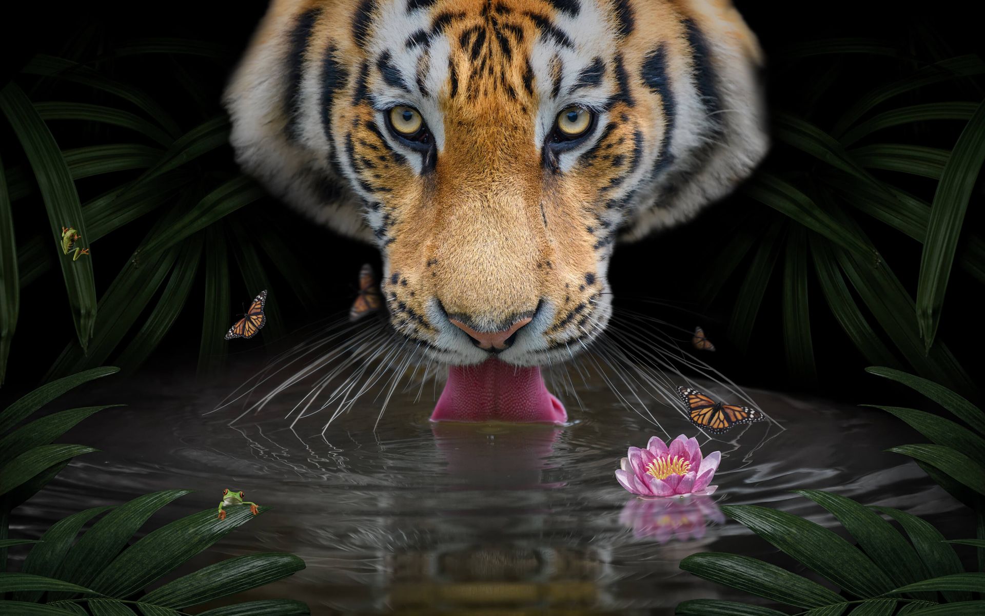 Jungle Tiger main product photo