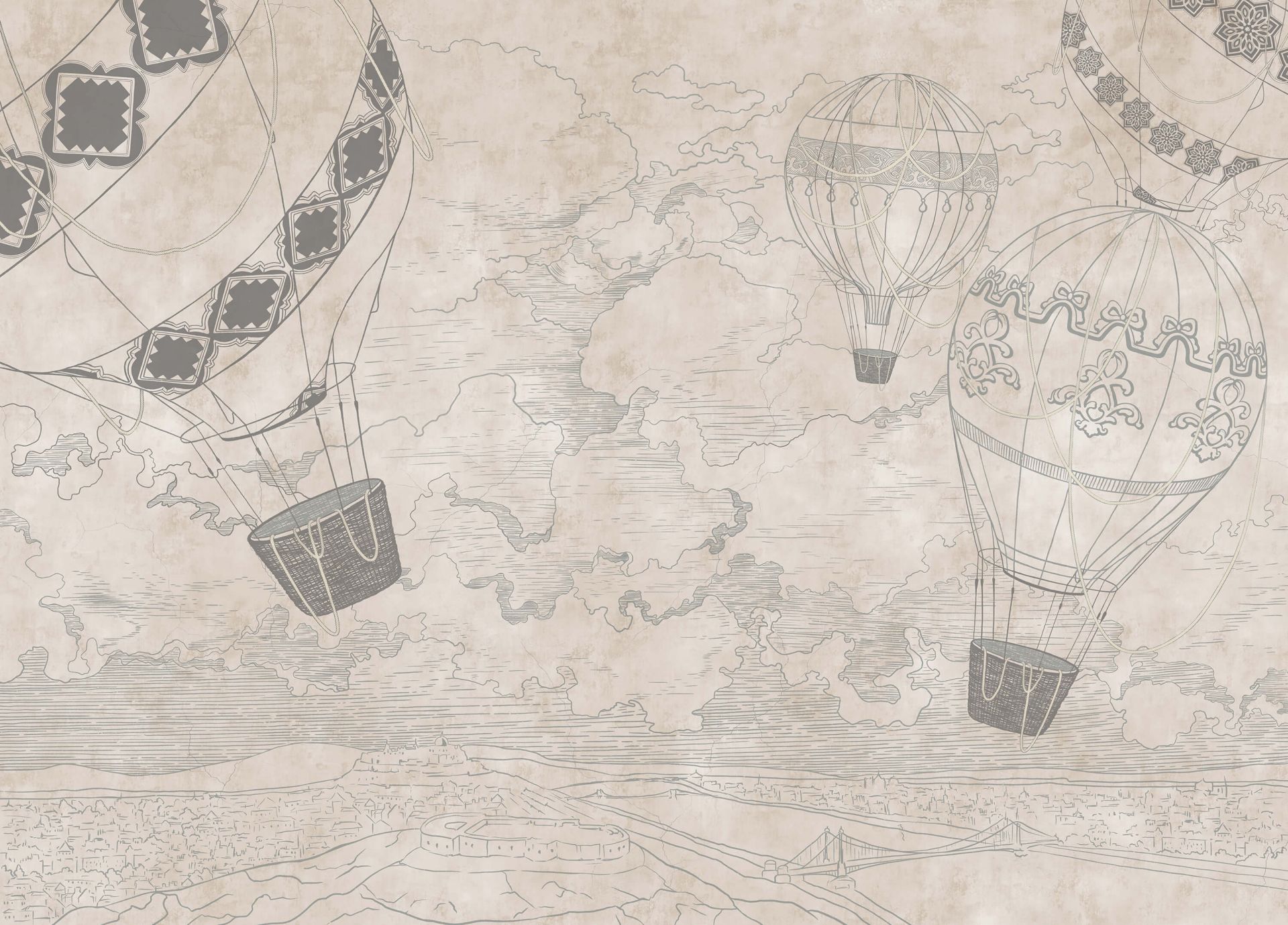 Luchtballonnen met een uitzicht