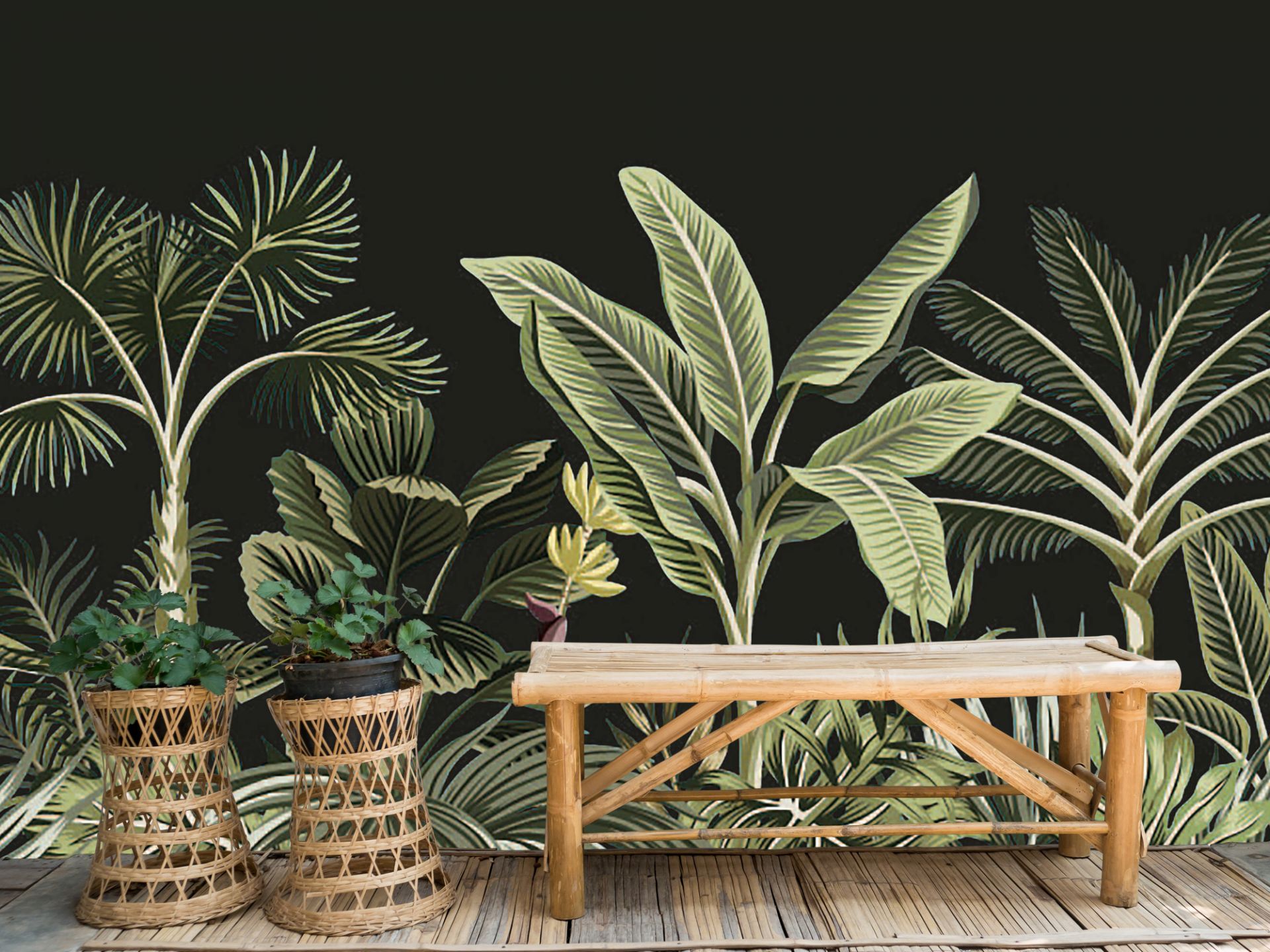Tropische palmboom op donkere achtergrond main product photo