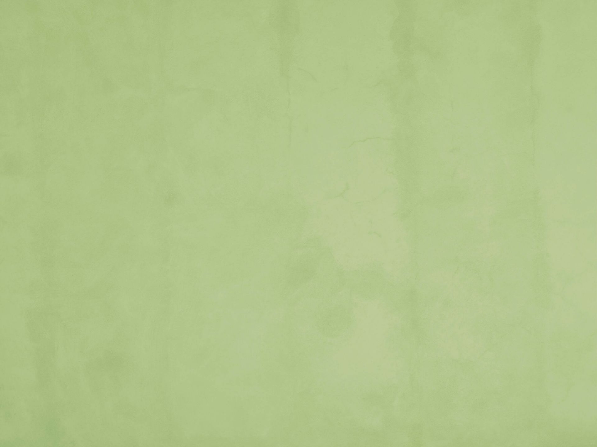 Salie groen beton