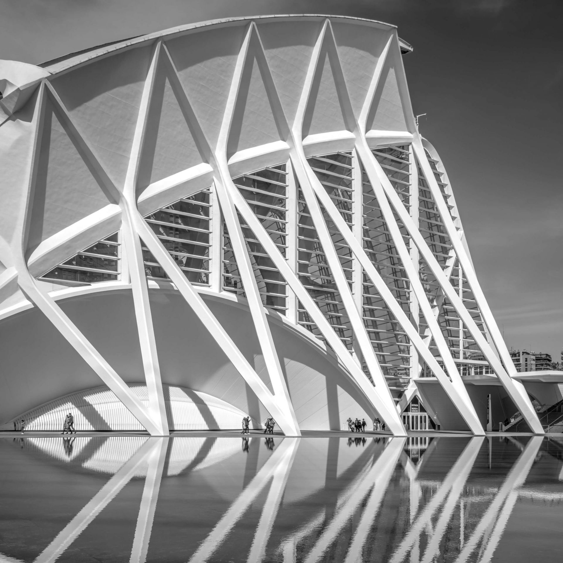 Wetenschapsmuseum - Museo de las Ciencas Principe Felipe - Valencia