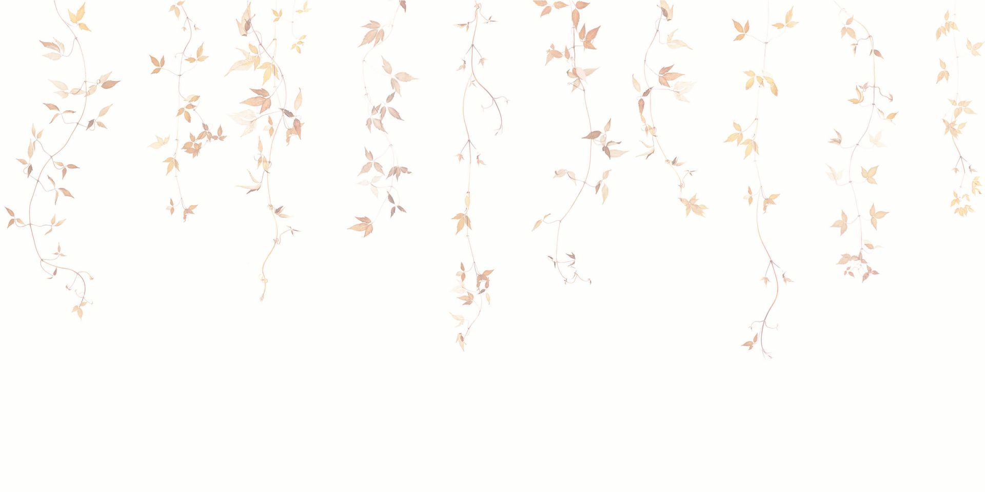 Lichte clematis rank