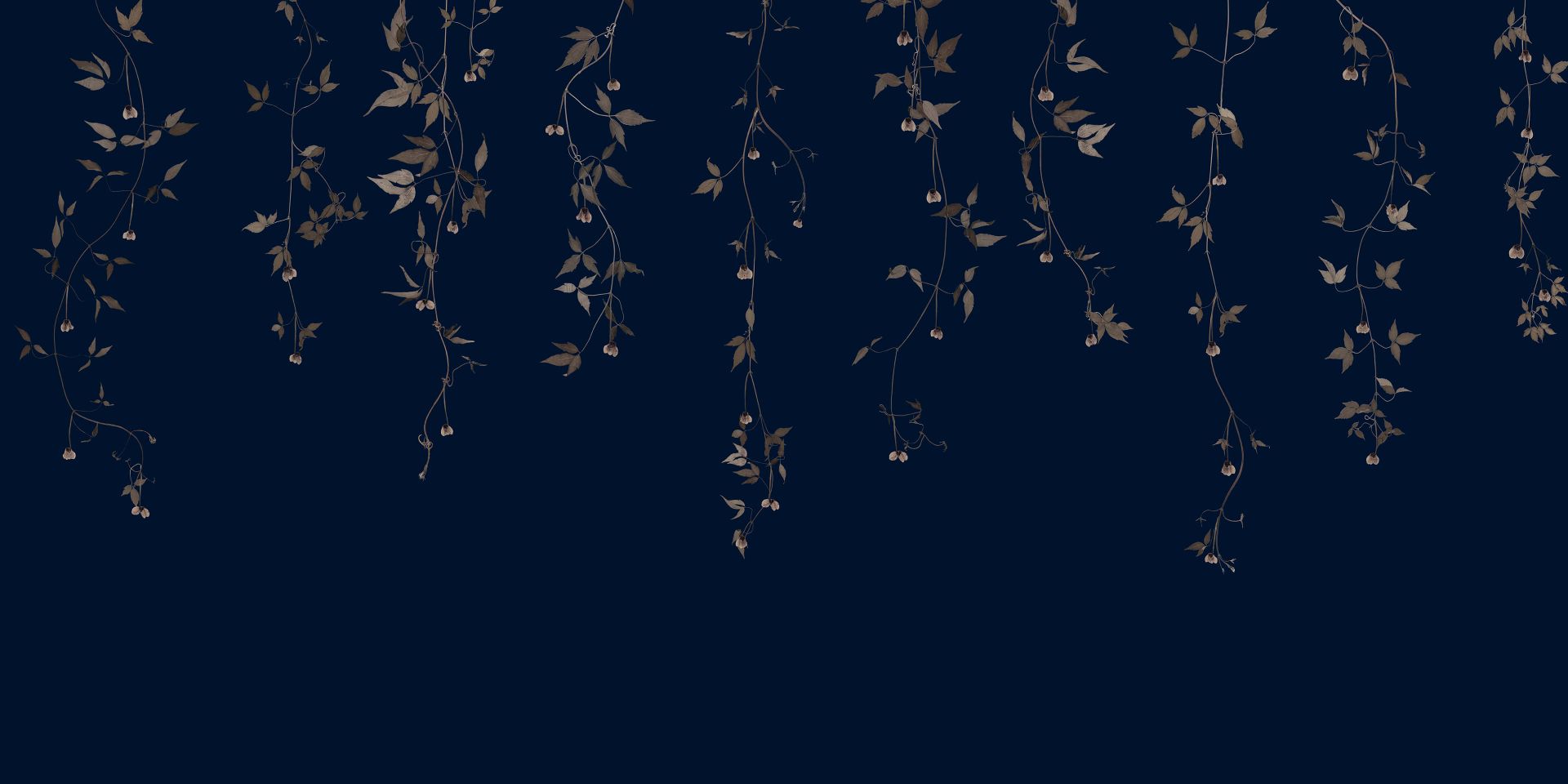 Clematis twijgen op midnight blue