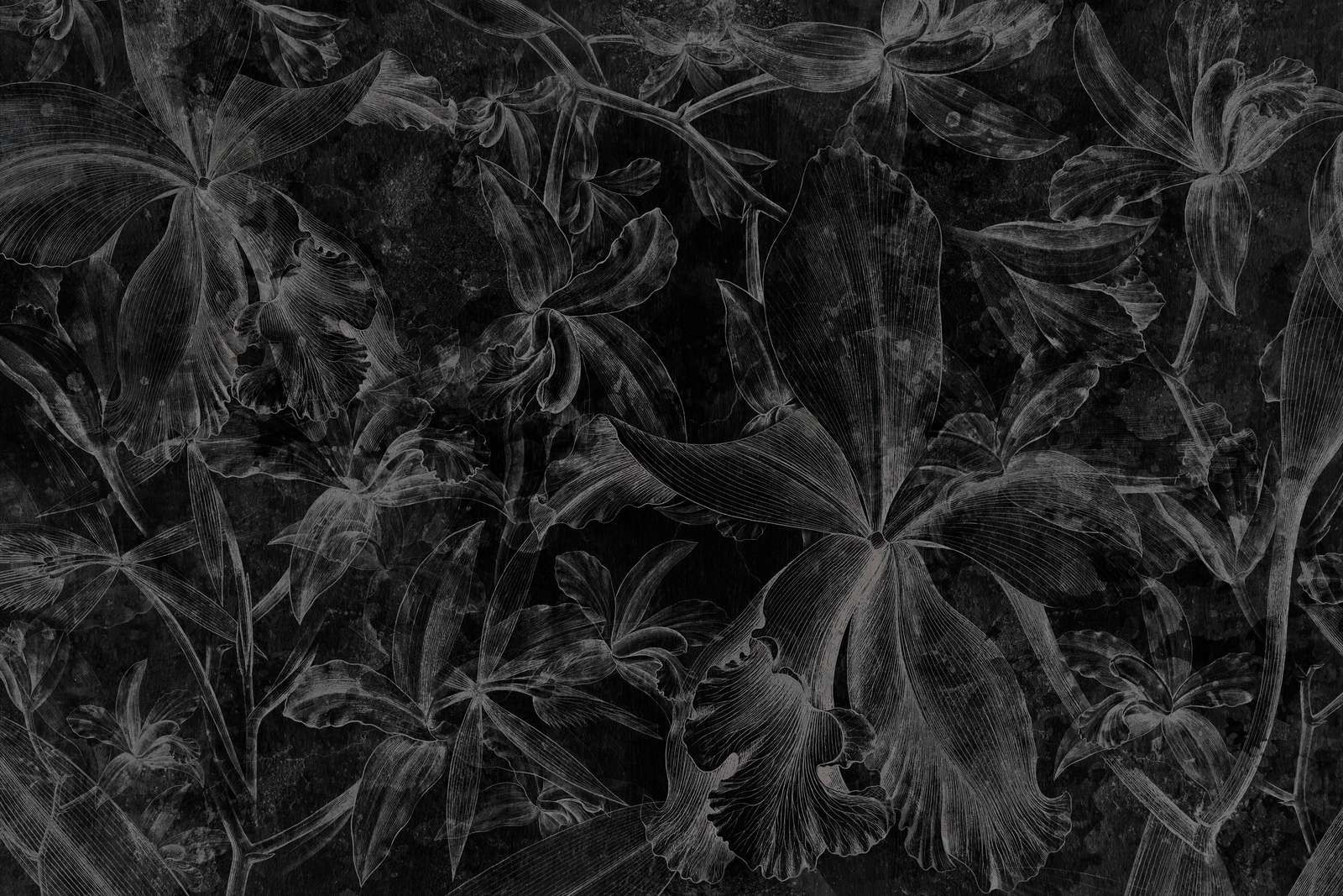 Orchids Contour 11