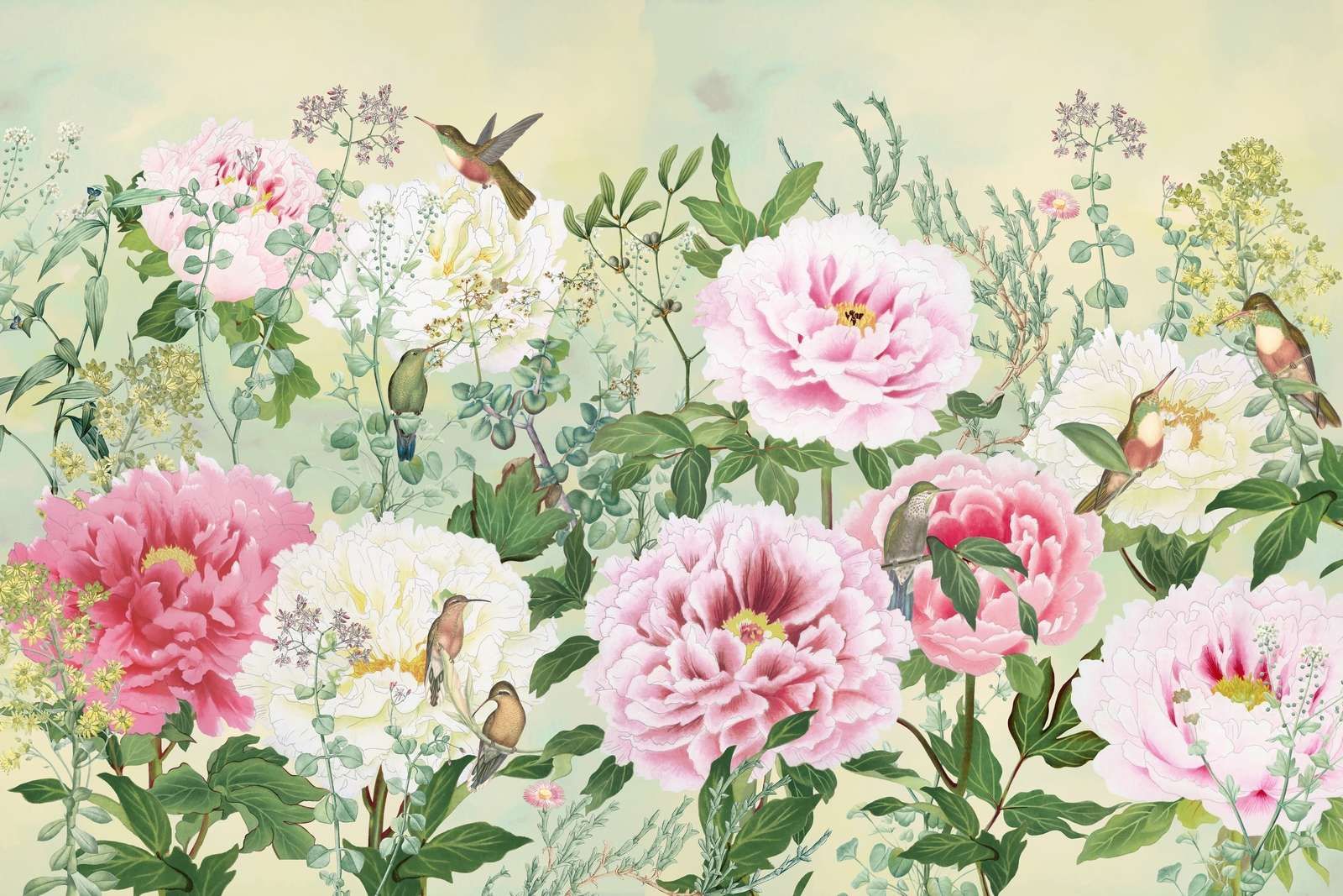 Peony Paradise