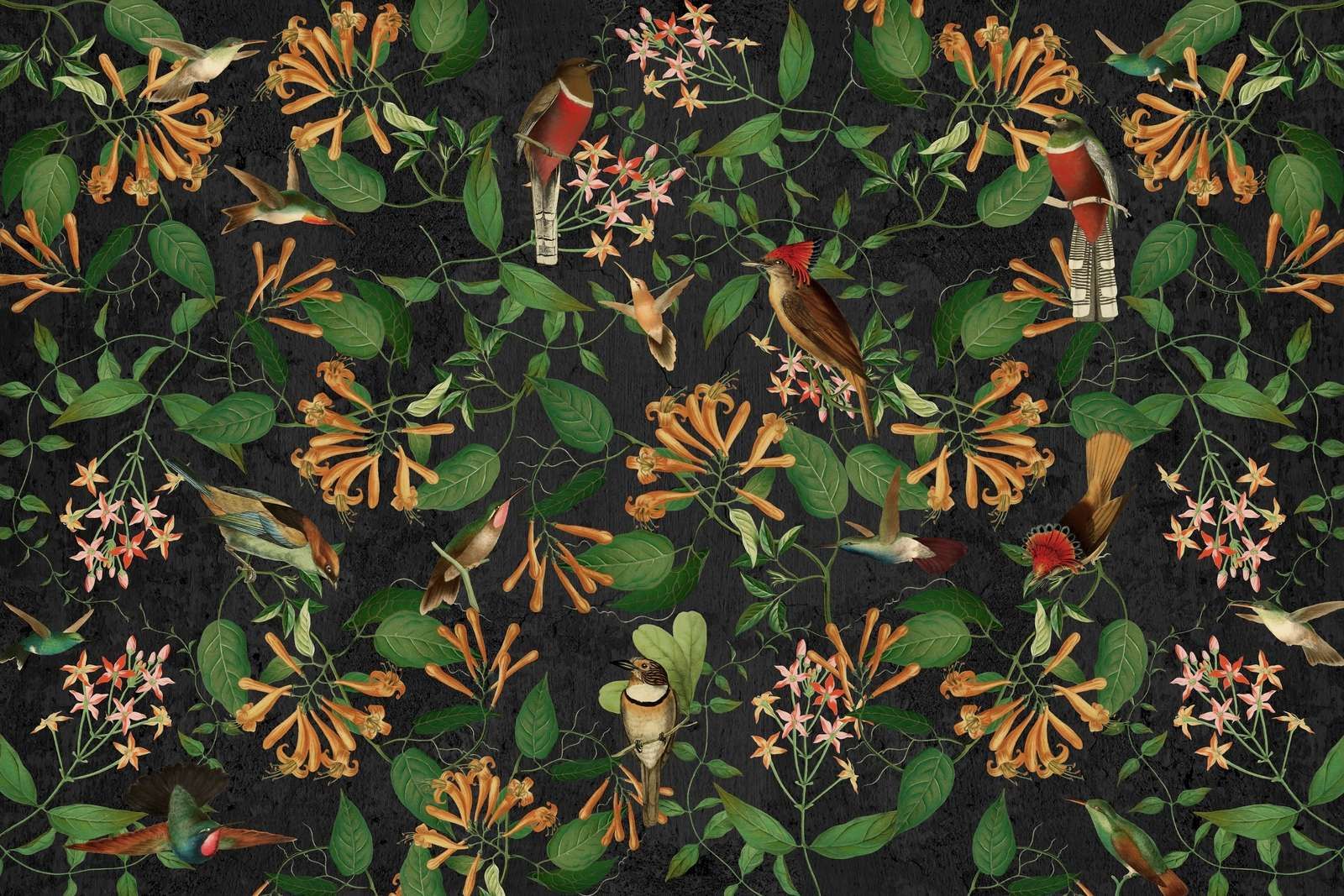 Midnight Garden Melody