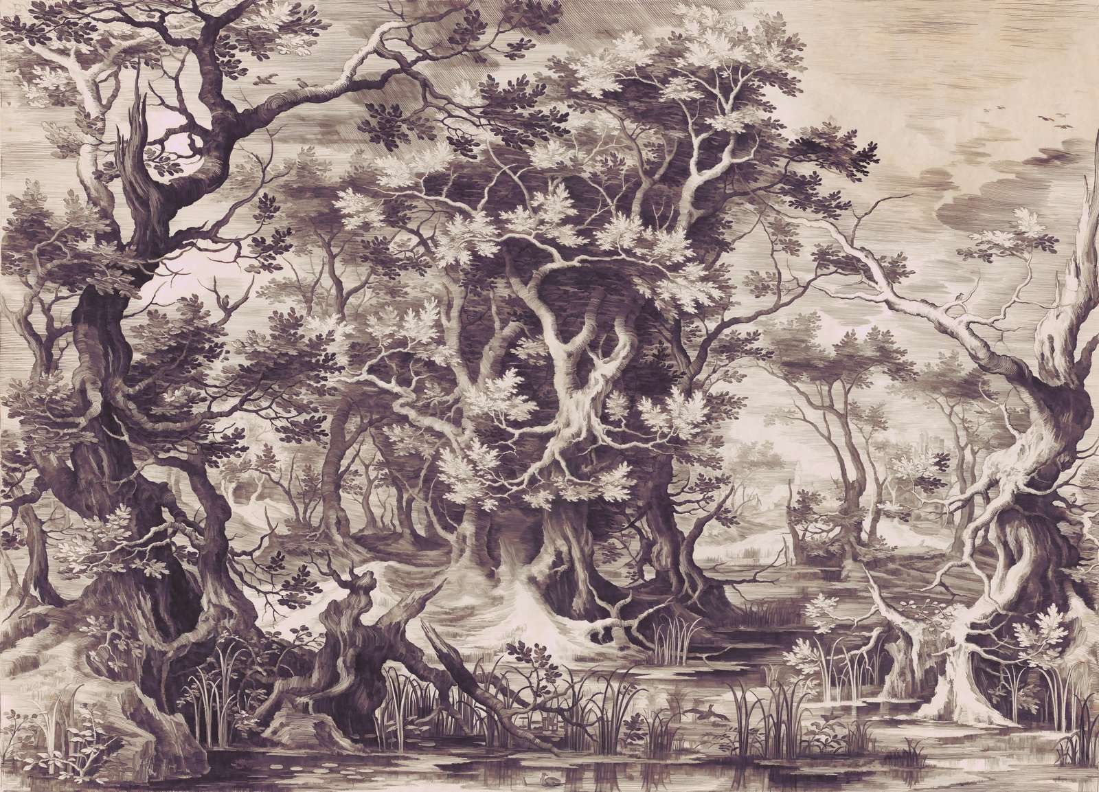 Mystical Forest in Sepia