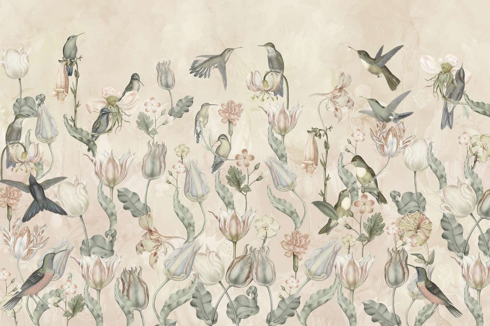 Spring Hummingbird Symphony - Desert Whisper