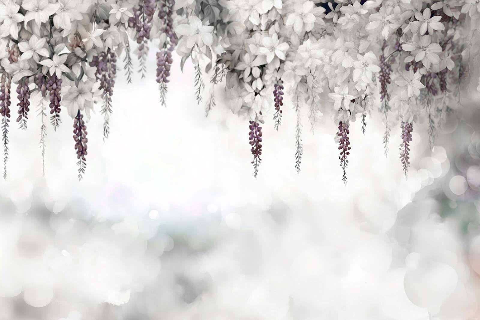 Gentle Wisteria Garden White