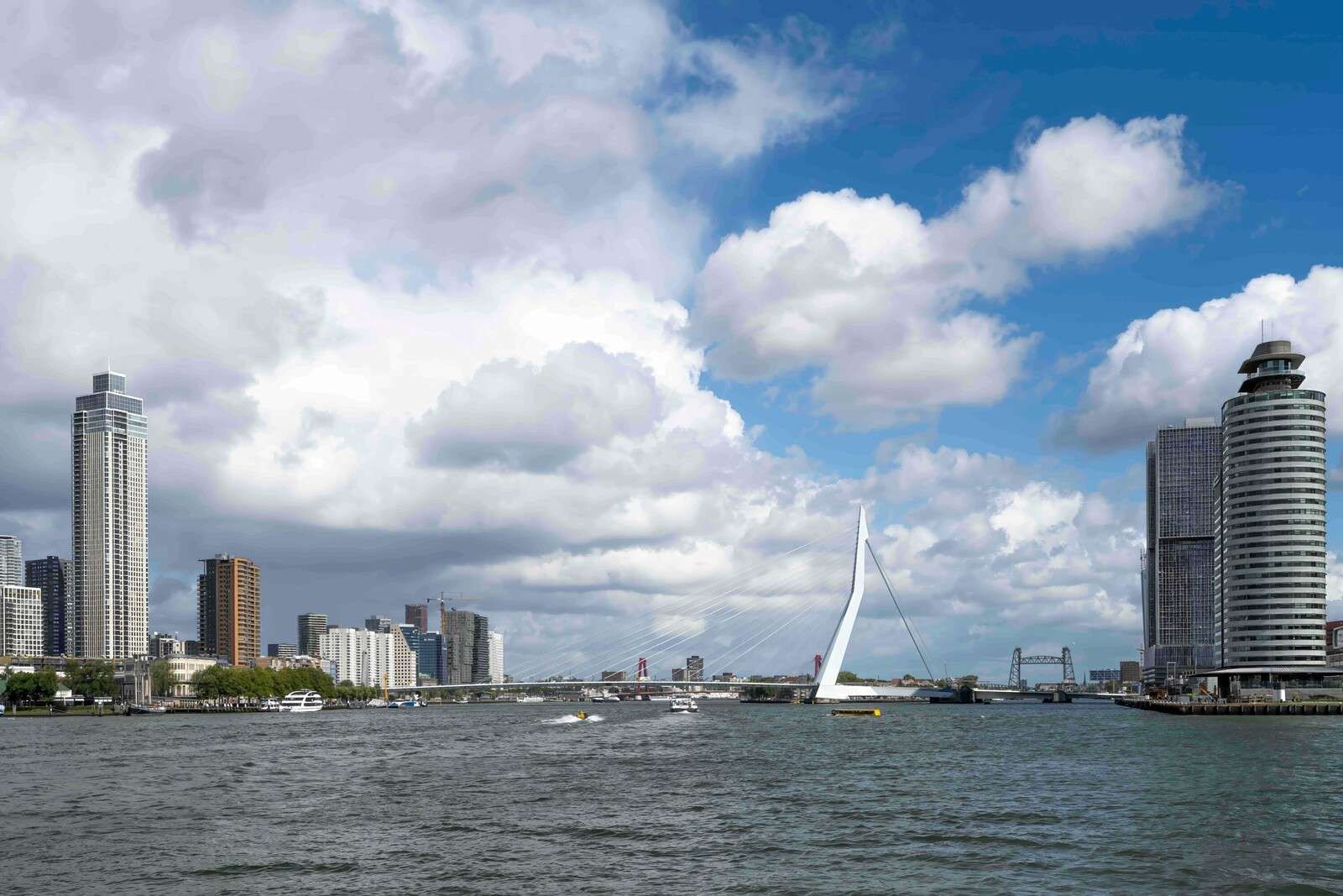 Stadszicht met Erasmusbrug