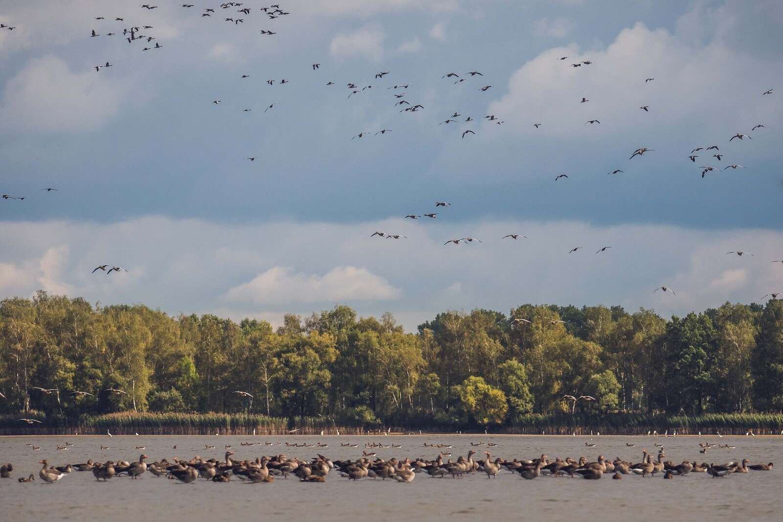 Vlucht over het Water