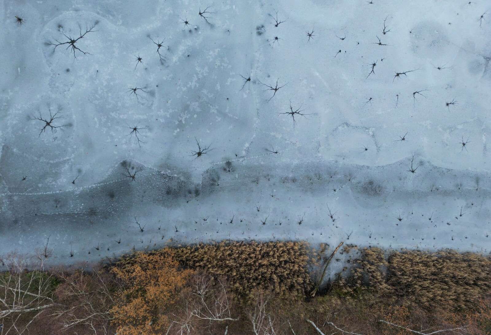 Winterse Texturen