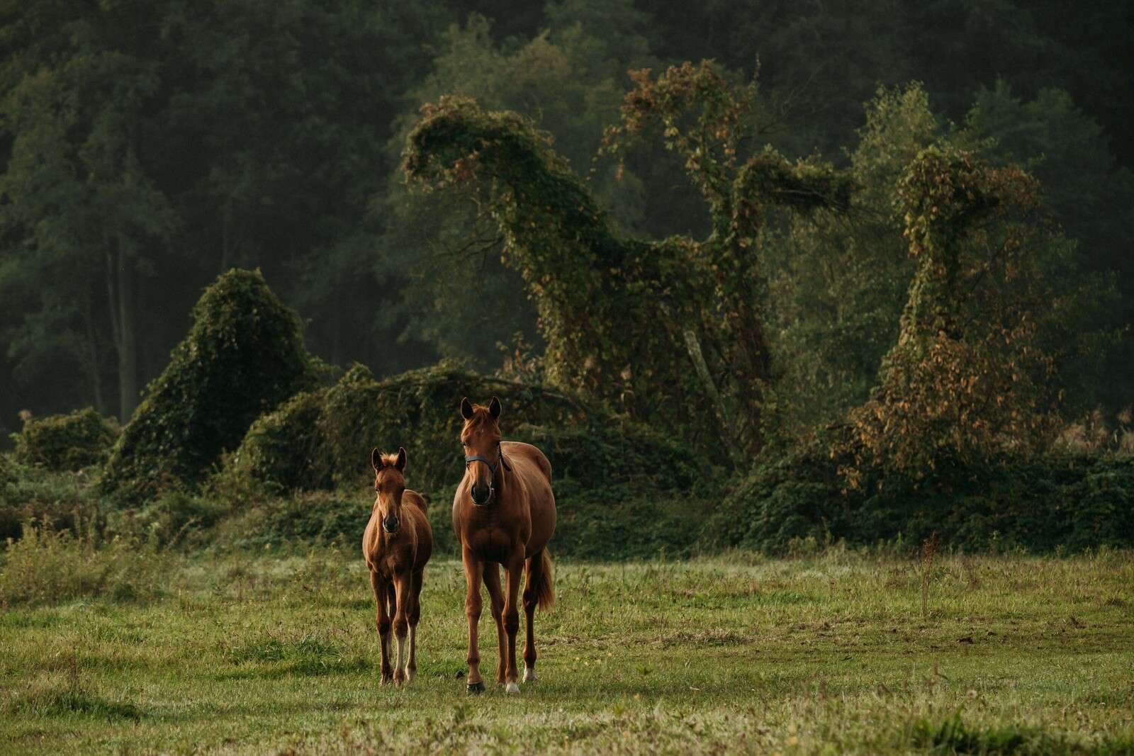 Paarden in een Mystiek Landschap