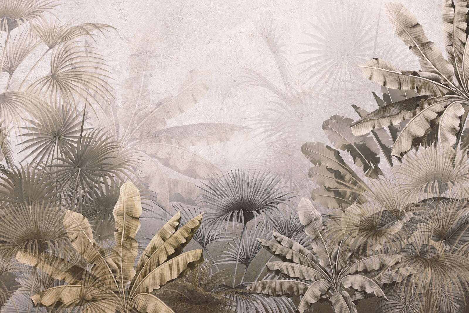Mistige Jungle Pracht