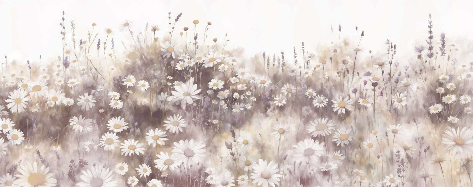 Quiet Daisies Meadow Pink