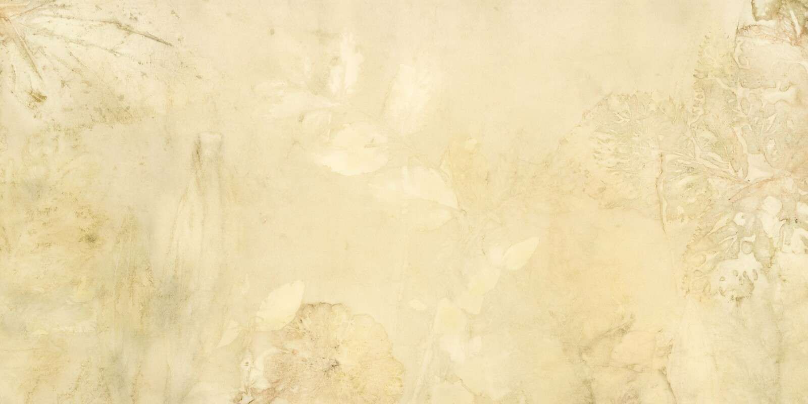 Weegbree en wilde geranium - tegenlicht