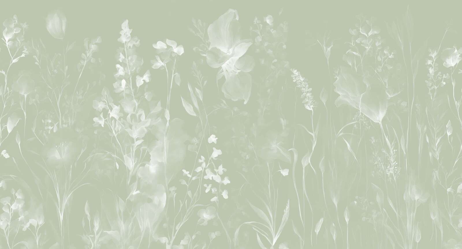 The softness of heart - olive