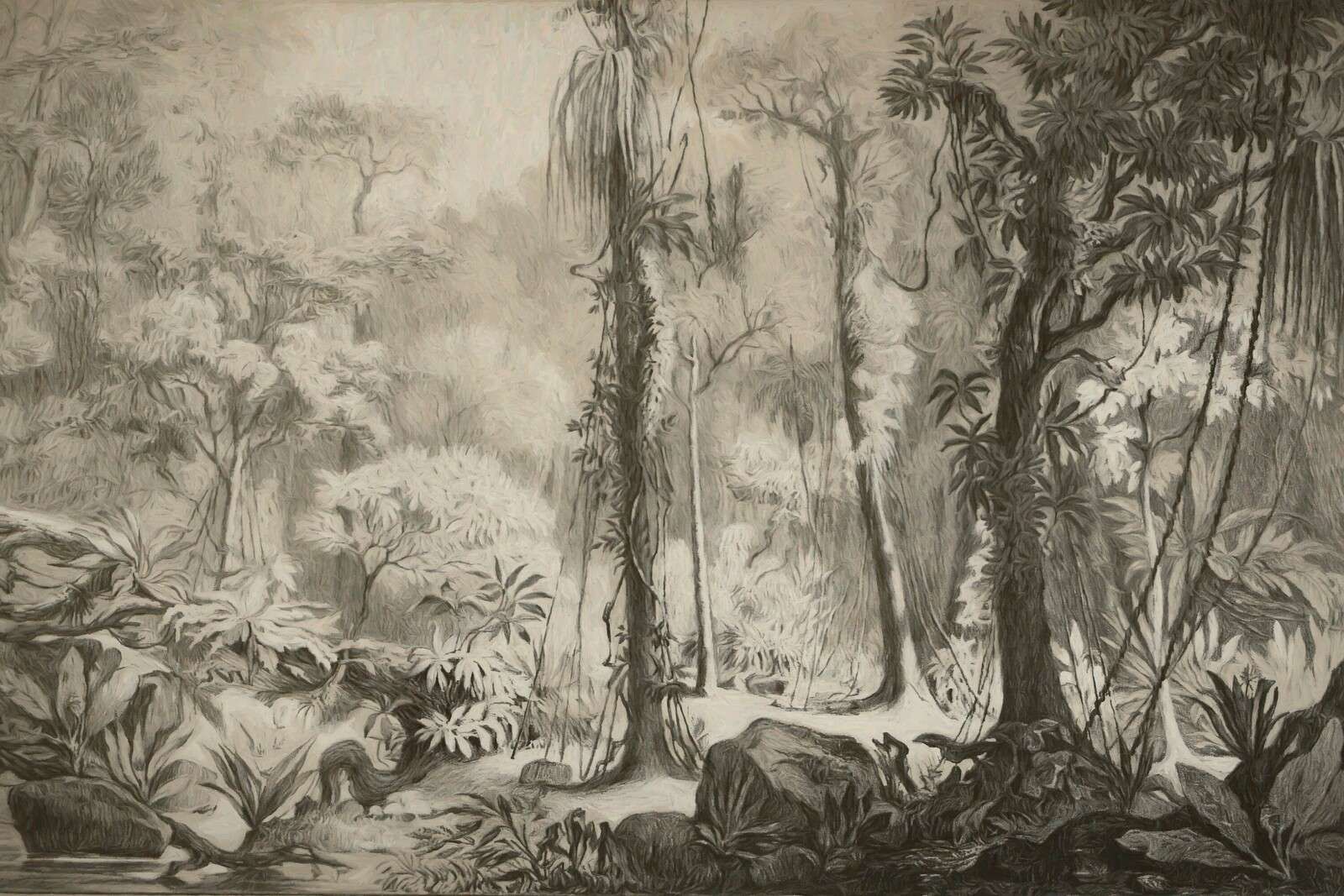 Tropic forest - brown