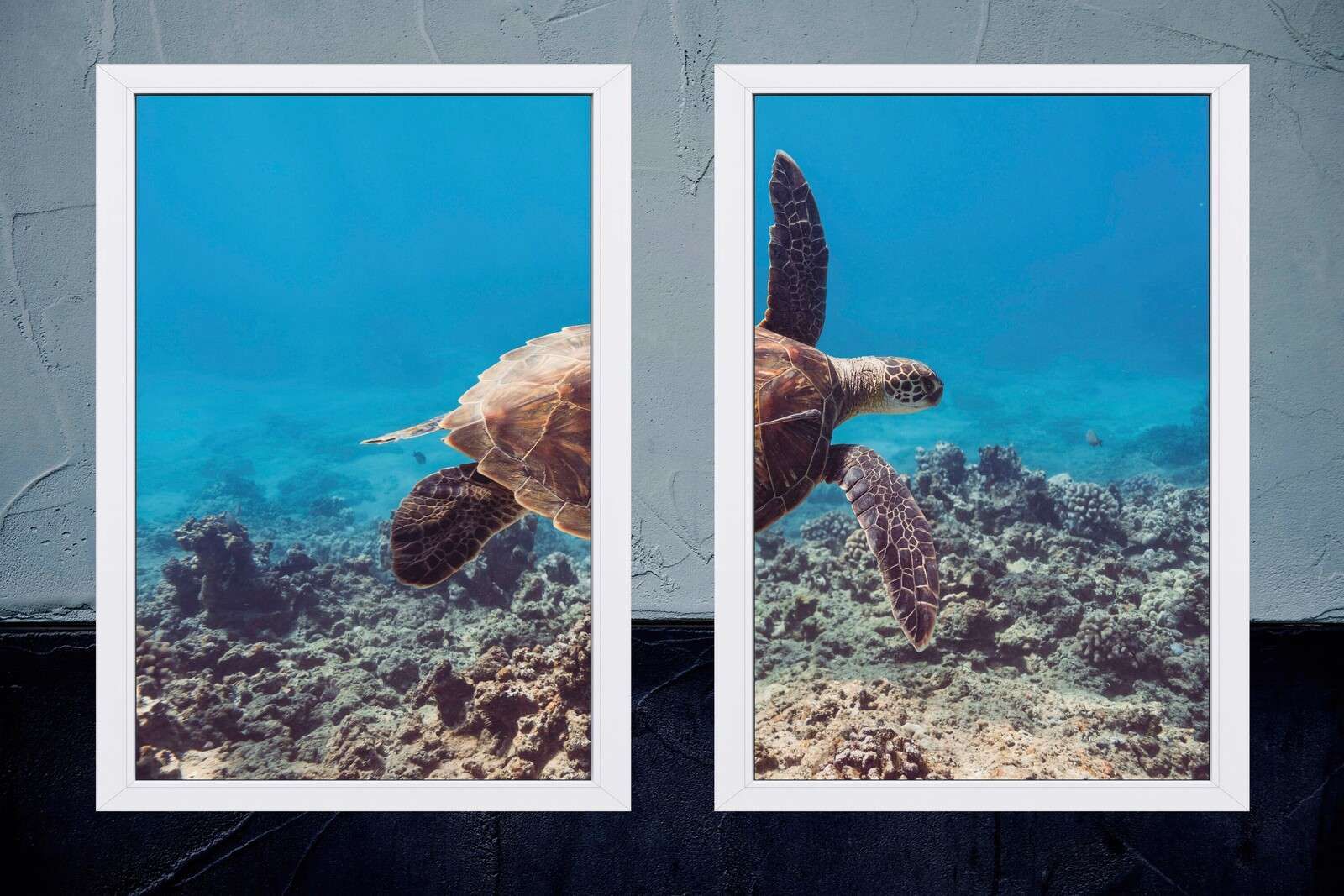 Zeeschildpad boven koraalrif
