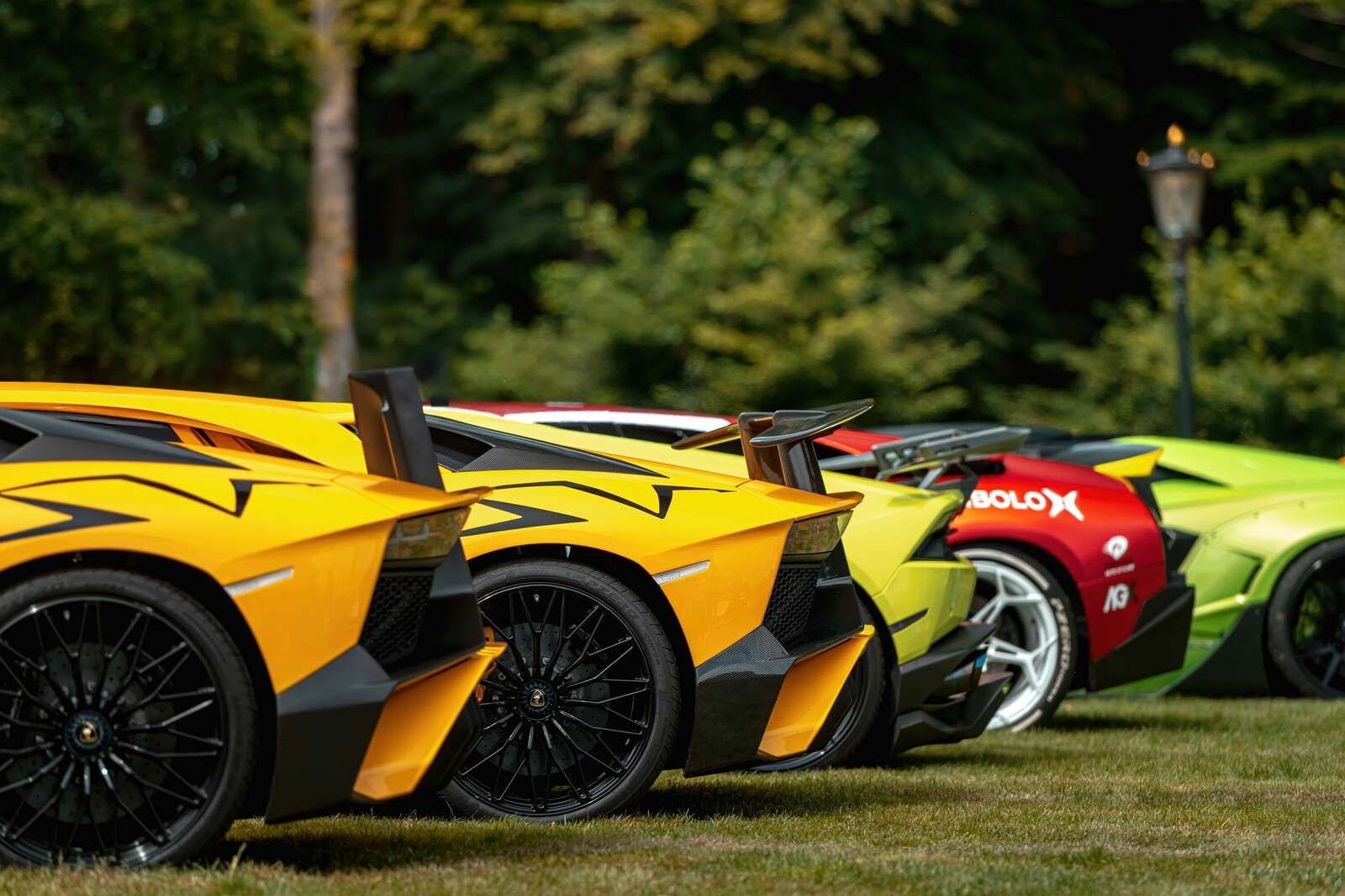 Supercar collectie iIn natuur