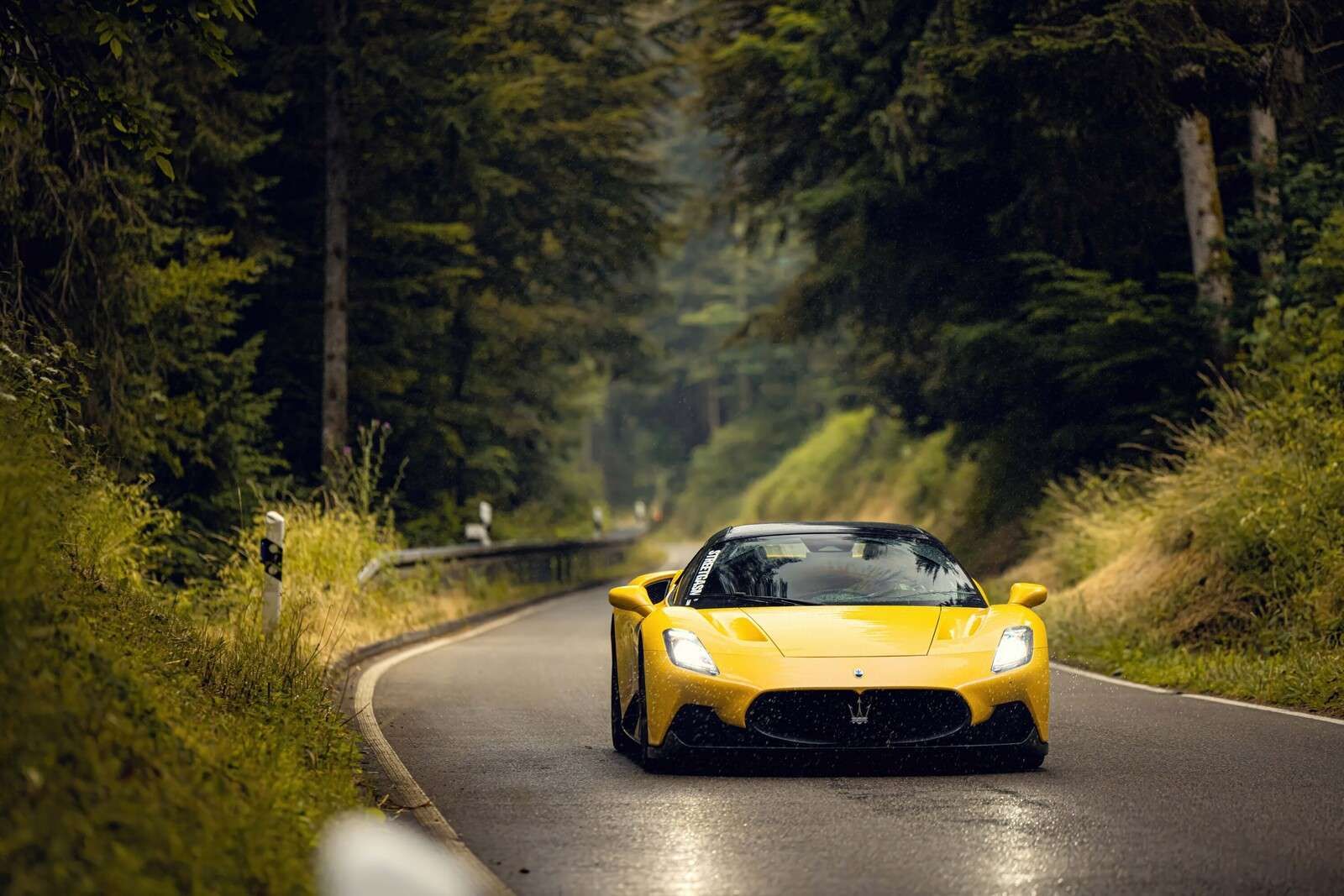 Maserati in het groene woud