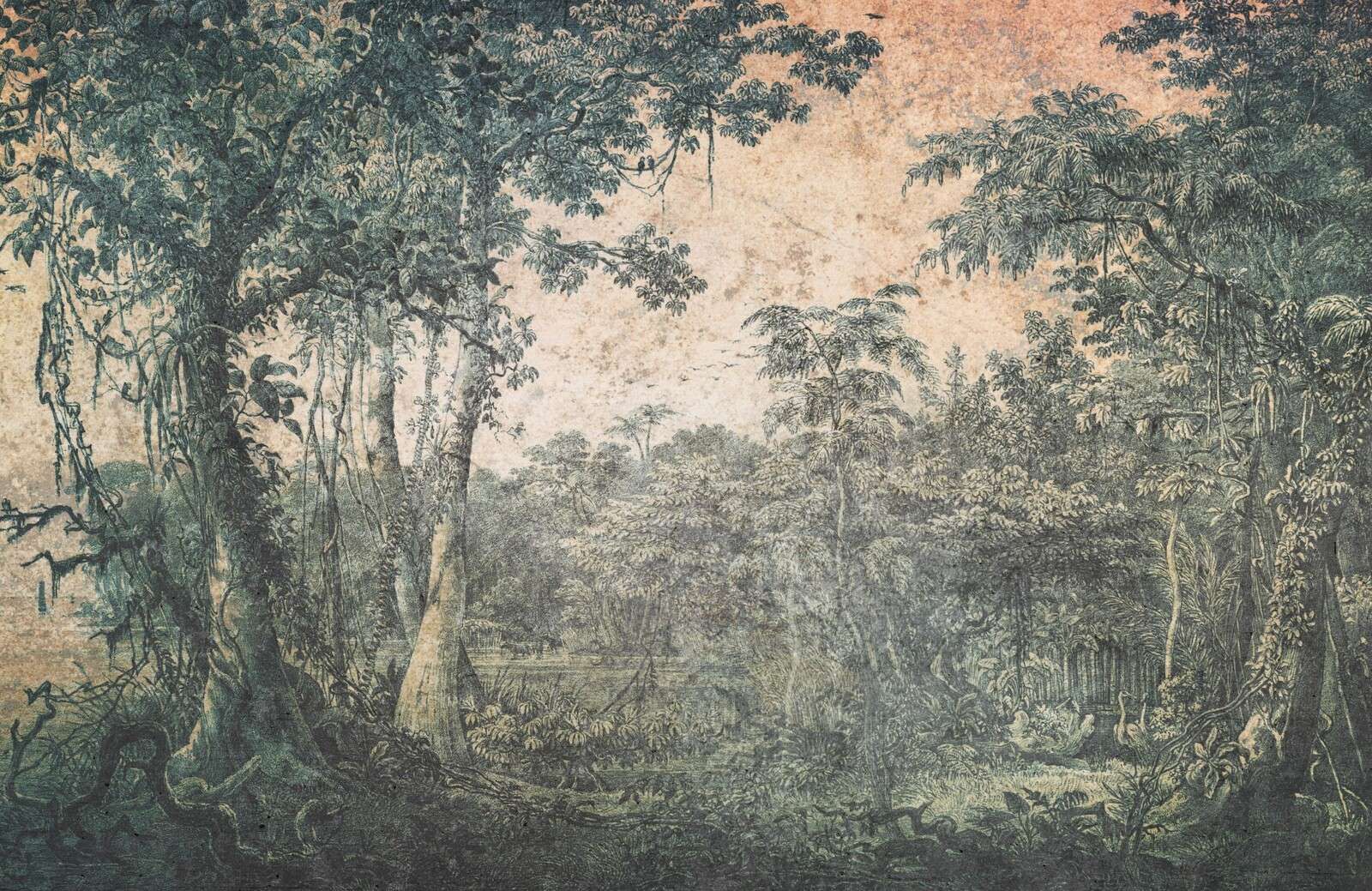 Verweerd tropisch woudpanorama