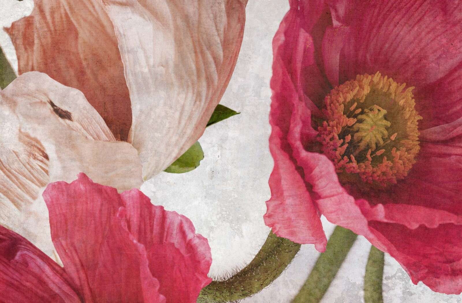 Klaprozen in roze en poederbeige