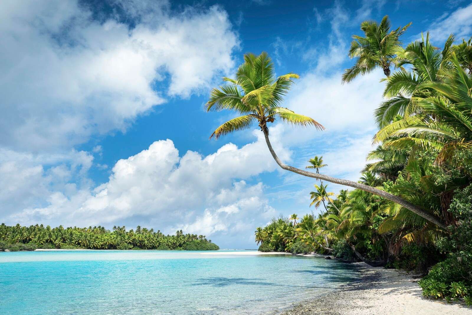 Palmbomen aan turquoise lagune