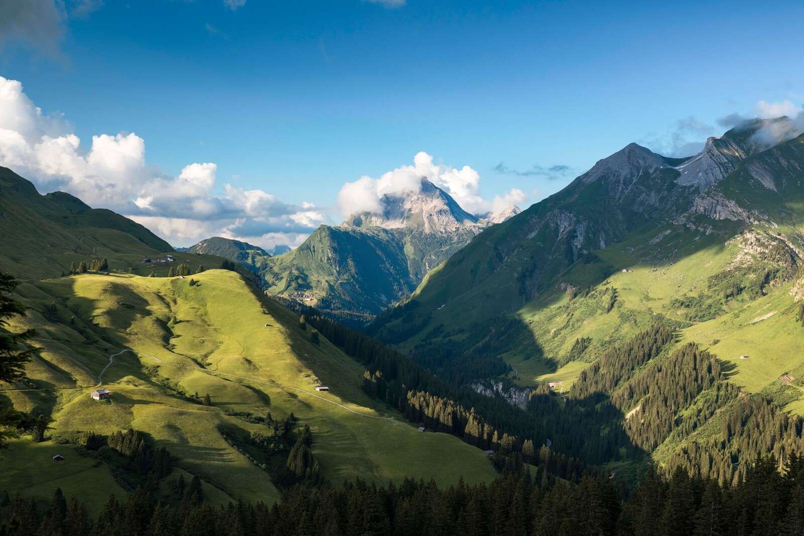 Zomerlicht over groene alpenvallei