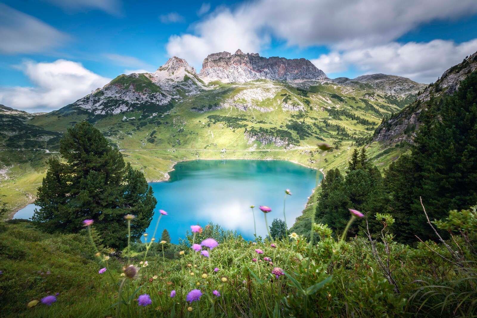 Bergmeer met wilde alpenbloemen