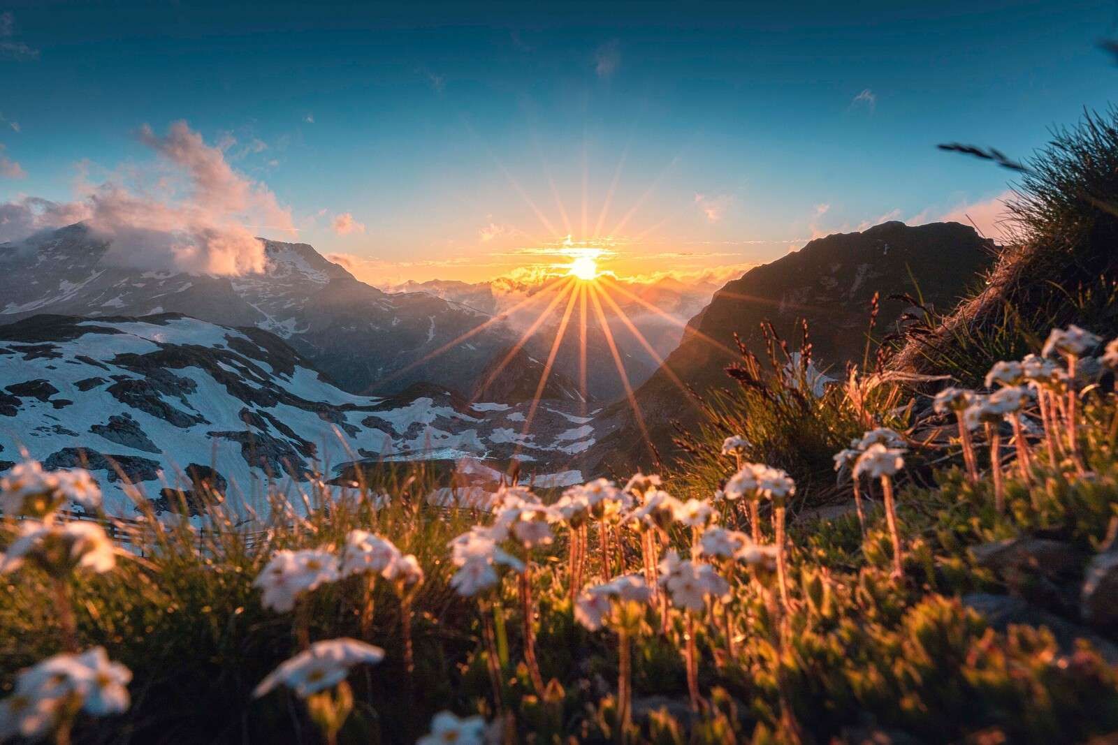 Zonlicht over alpenweide