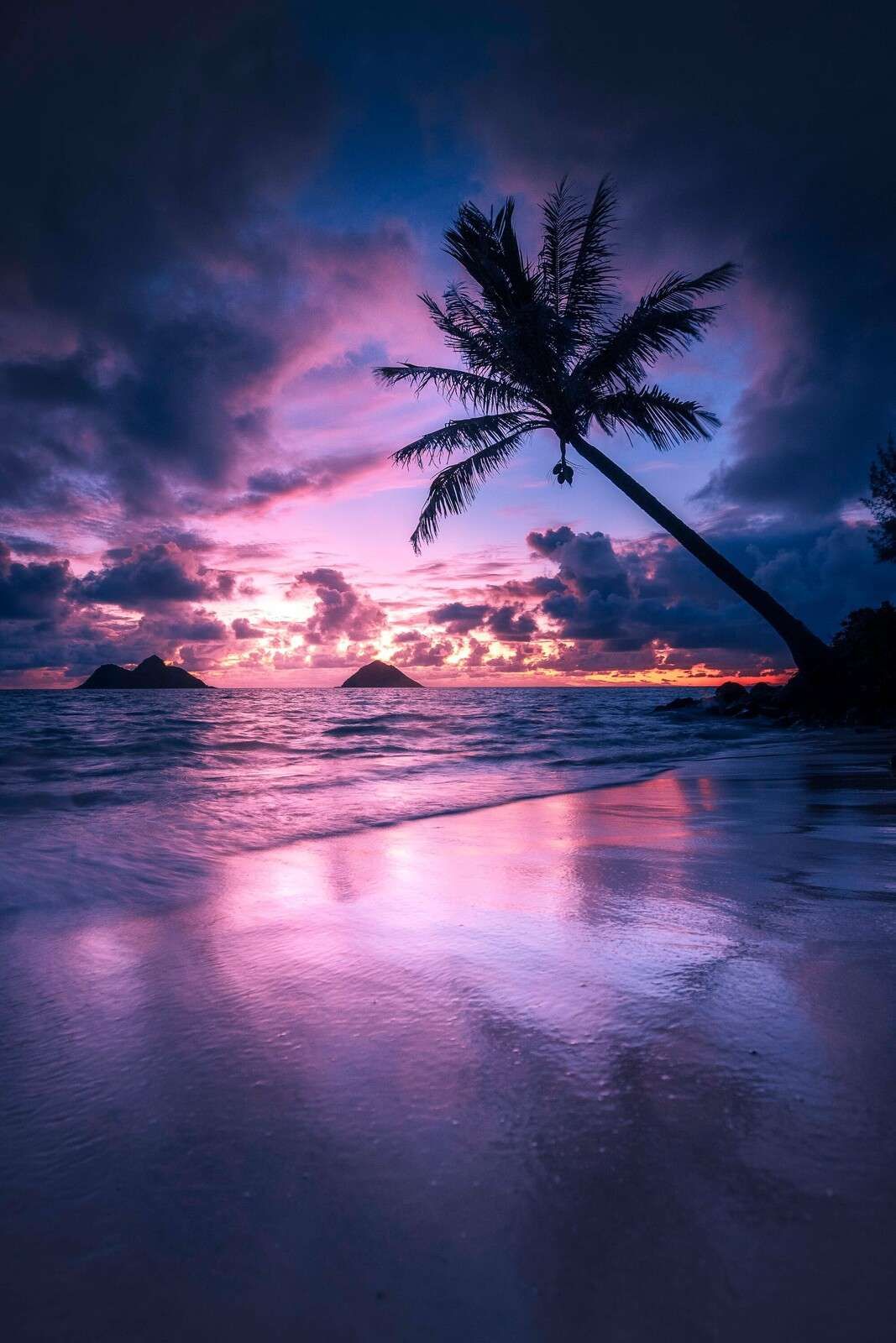 Palmstrand bij paarse zonsondergang