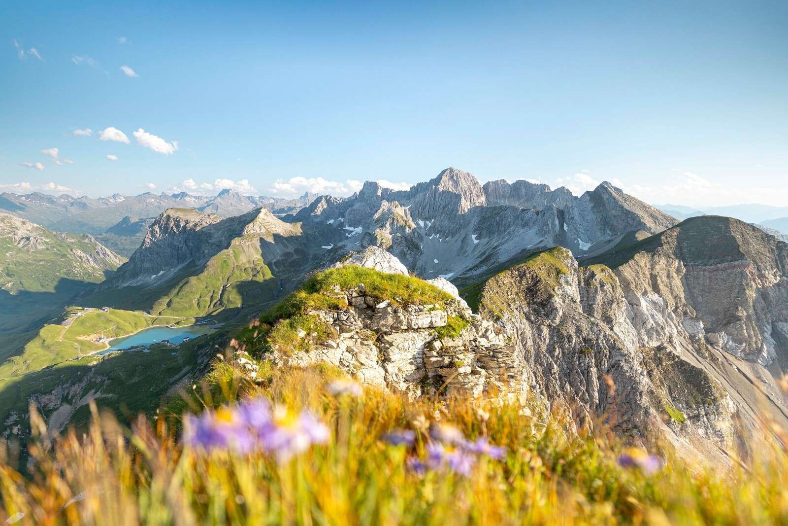 Zomerse alpentoppen met bloemen