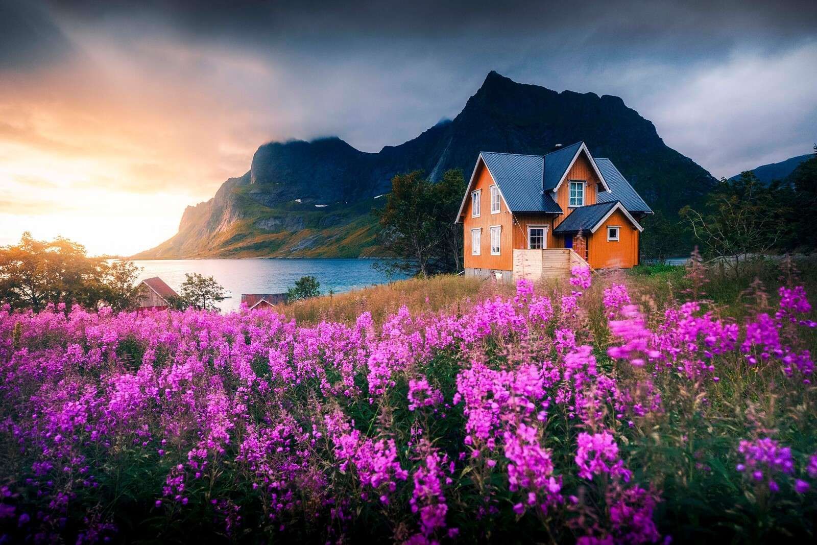 Oranje huis aan paarse fjord