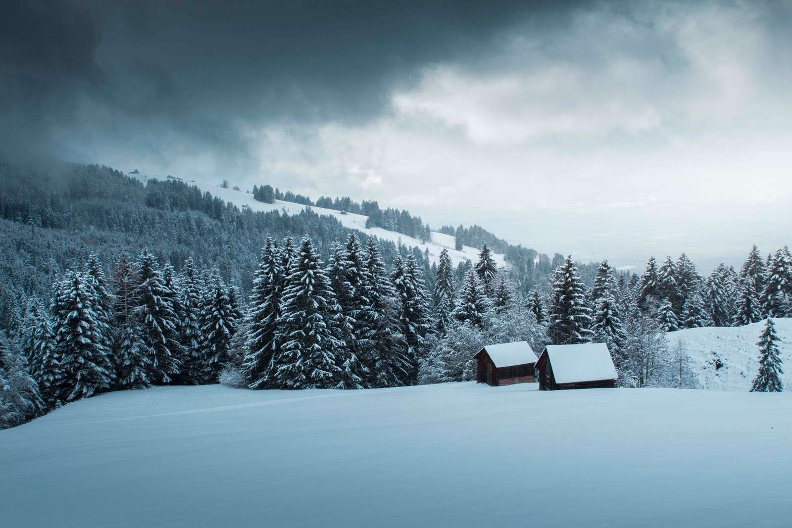 Besneeuwd dennenbos met houten hutten
