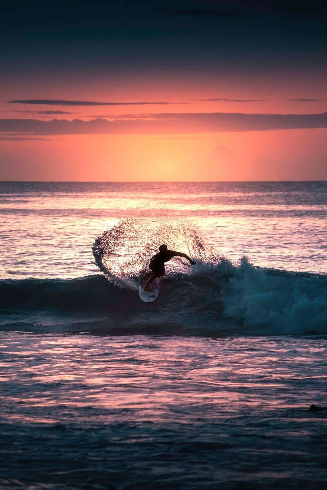Surfer in de roze avondgloed