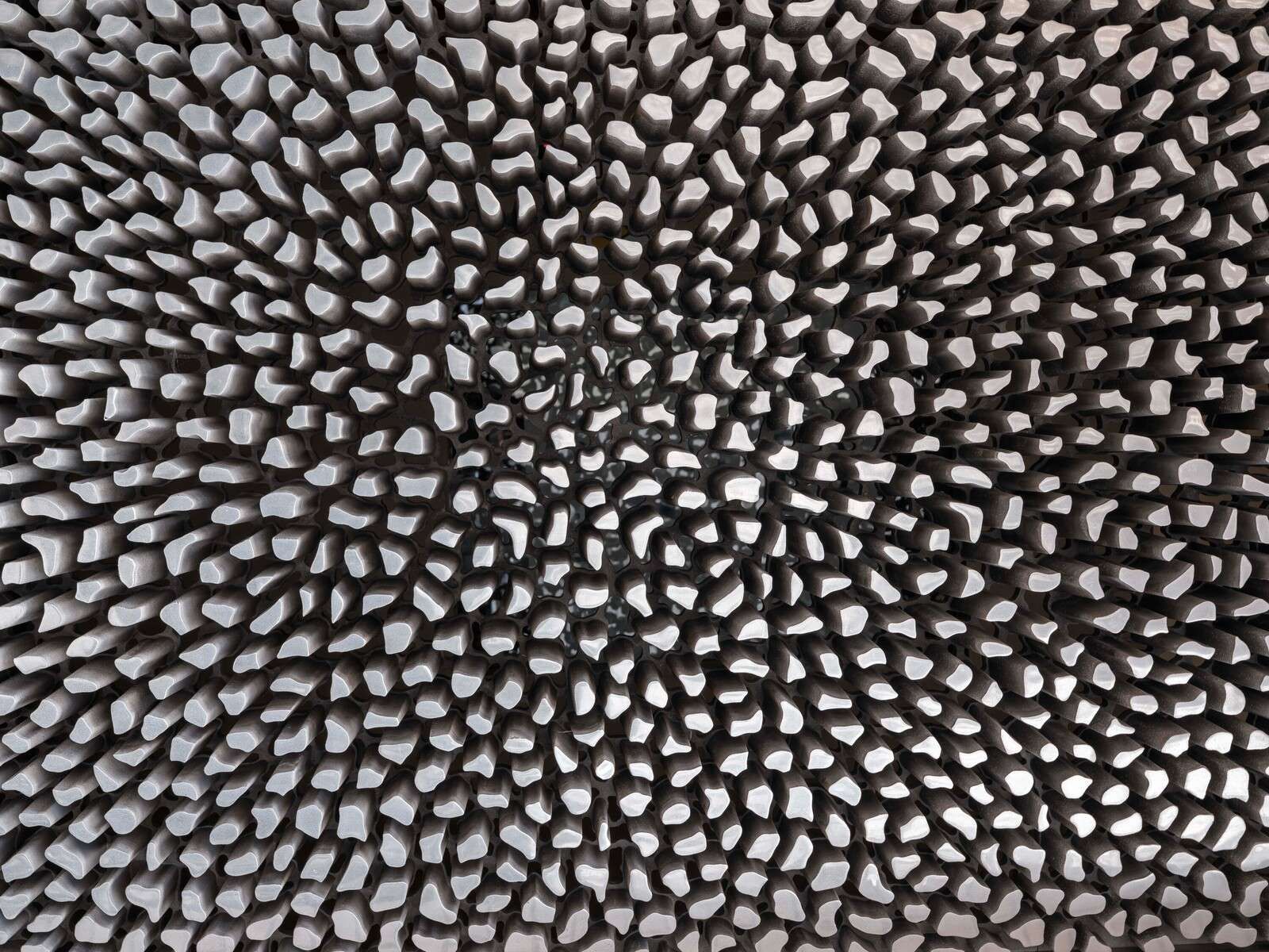 Textured wooden surface
