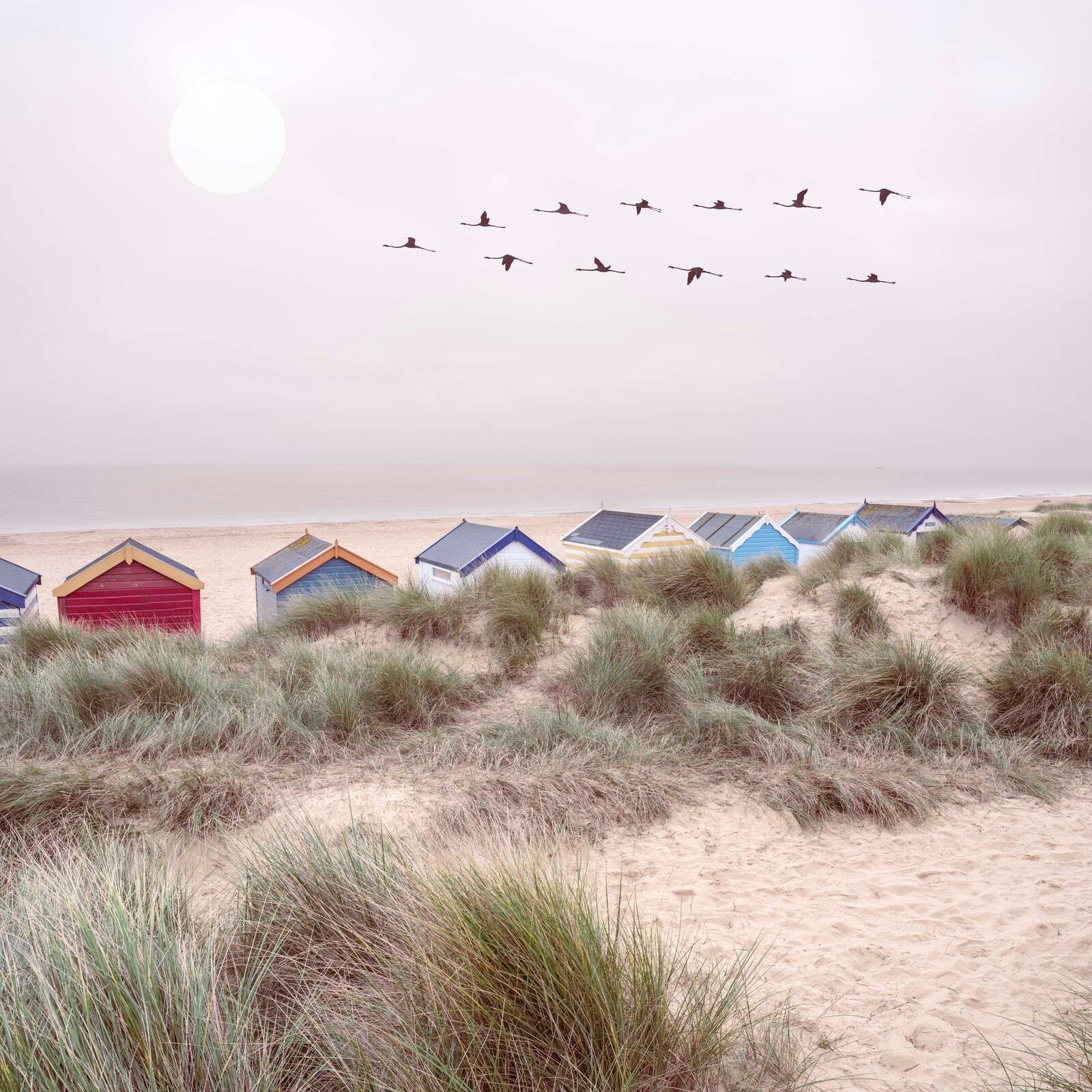 Beach huts on sandy seashore
