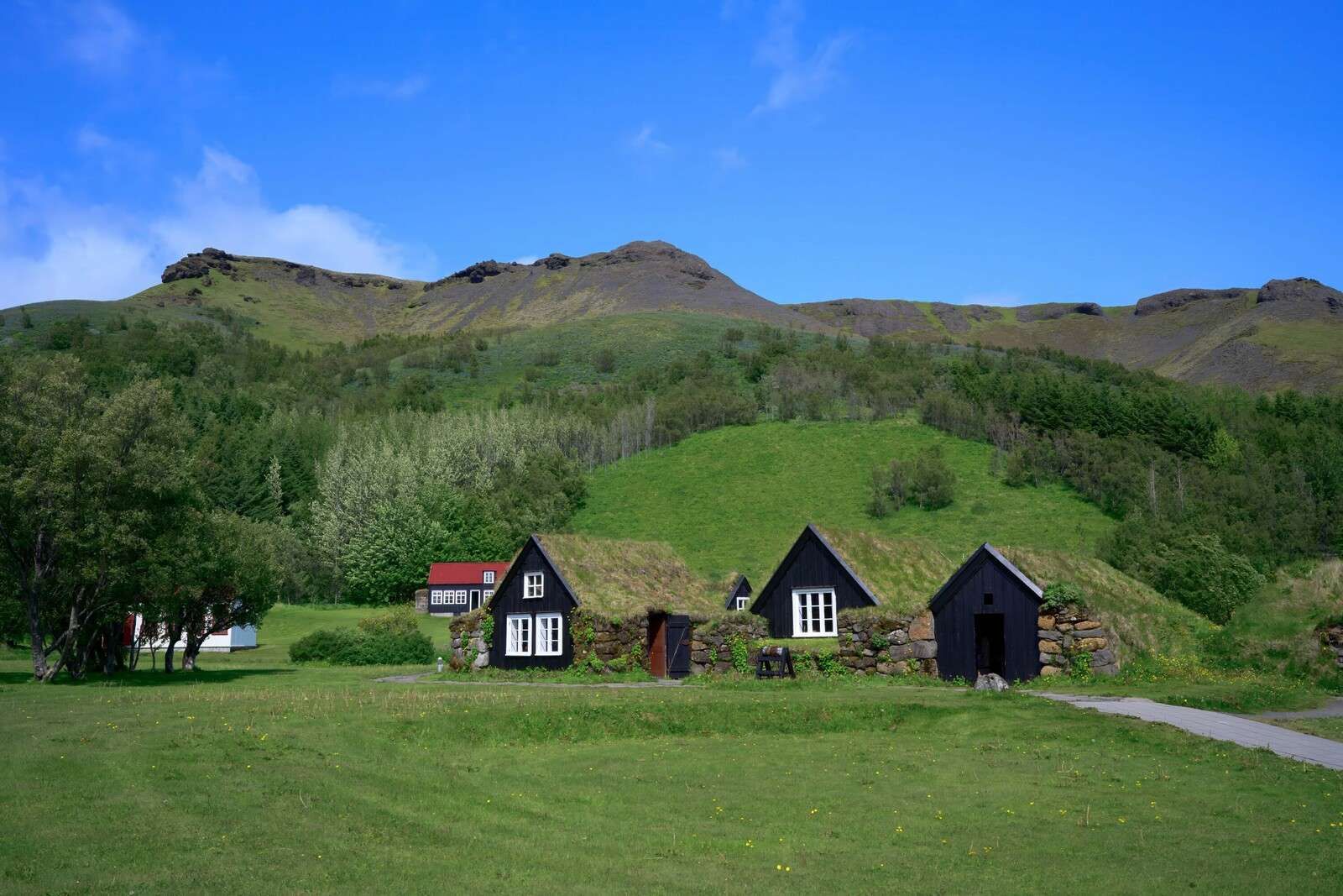 Skógar openluchtmuseum