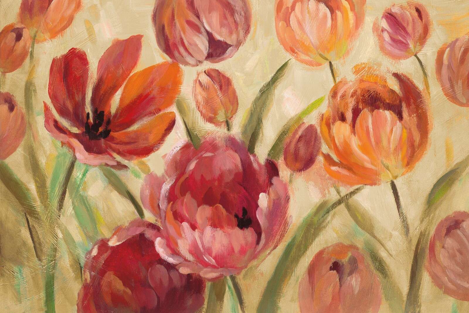 Bloeiend Veld Van Tulpenpracht