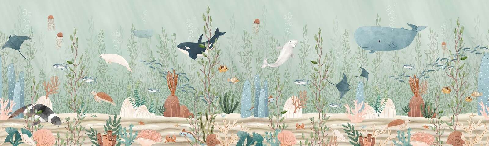 Kelp Forest - Panorama