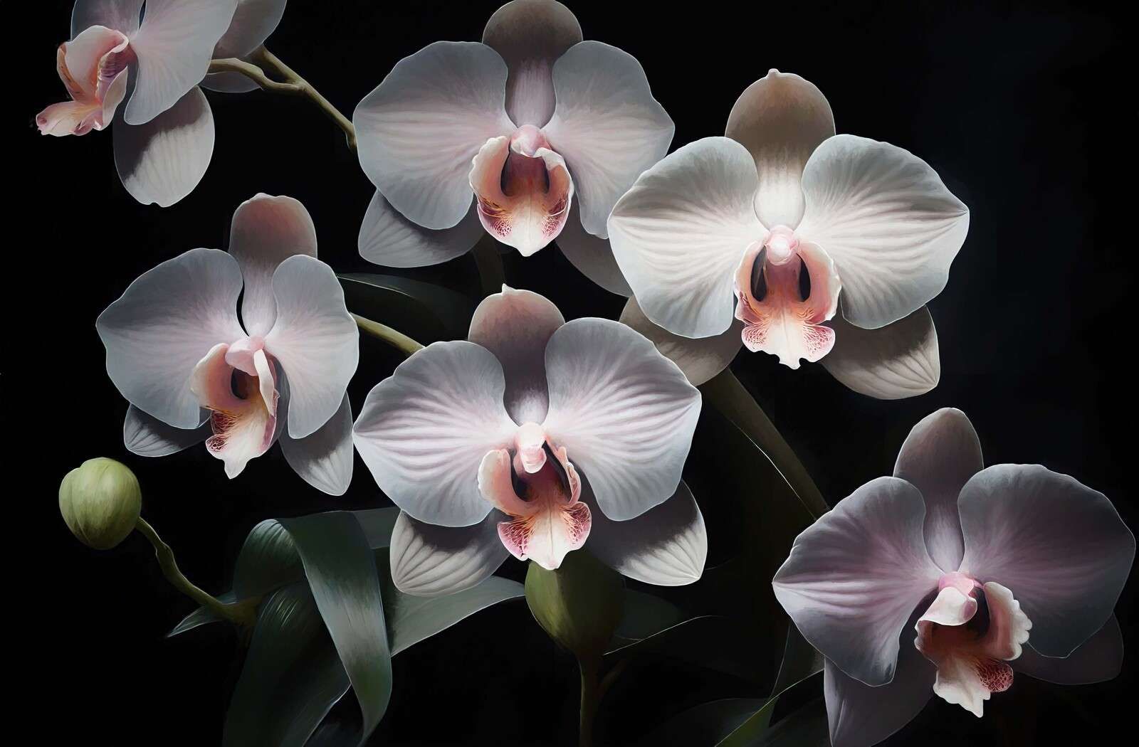 Witte orchideeën met roze hart