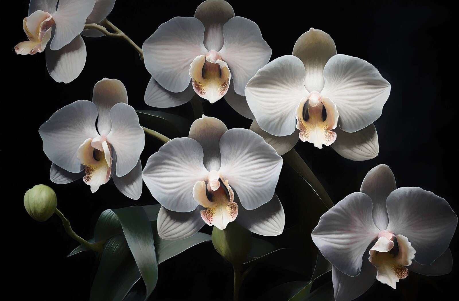 Witte orchideeën met warm hart